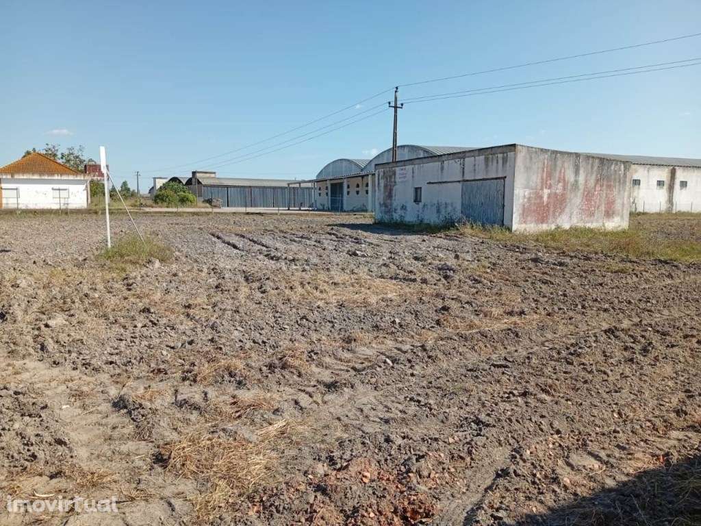 Terreno Urbano localizado em Taipadas - Canha, na Freguesia de Canha - Grande imagem: 2/25