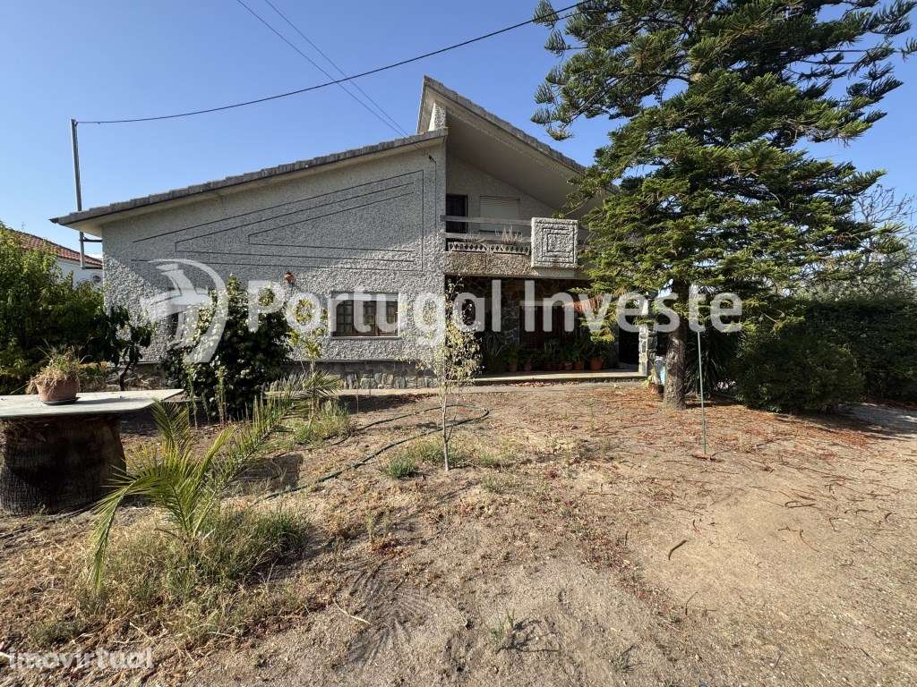 Moradia Térrea em Lote de 8000 m² - Torres Novas - Grande imagem: 4/48