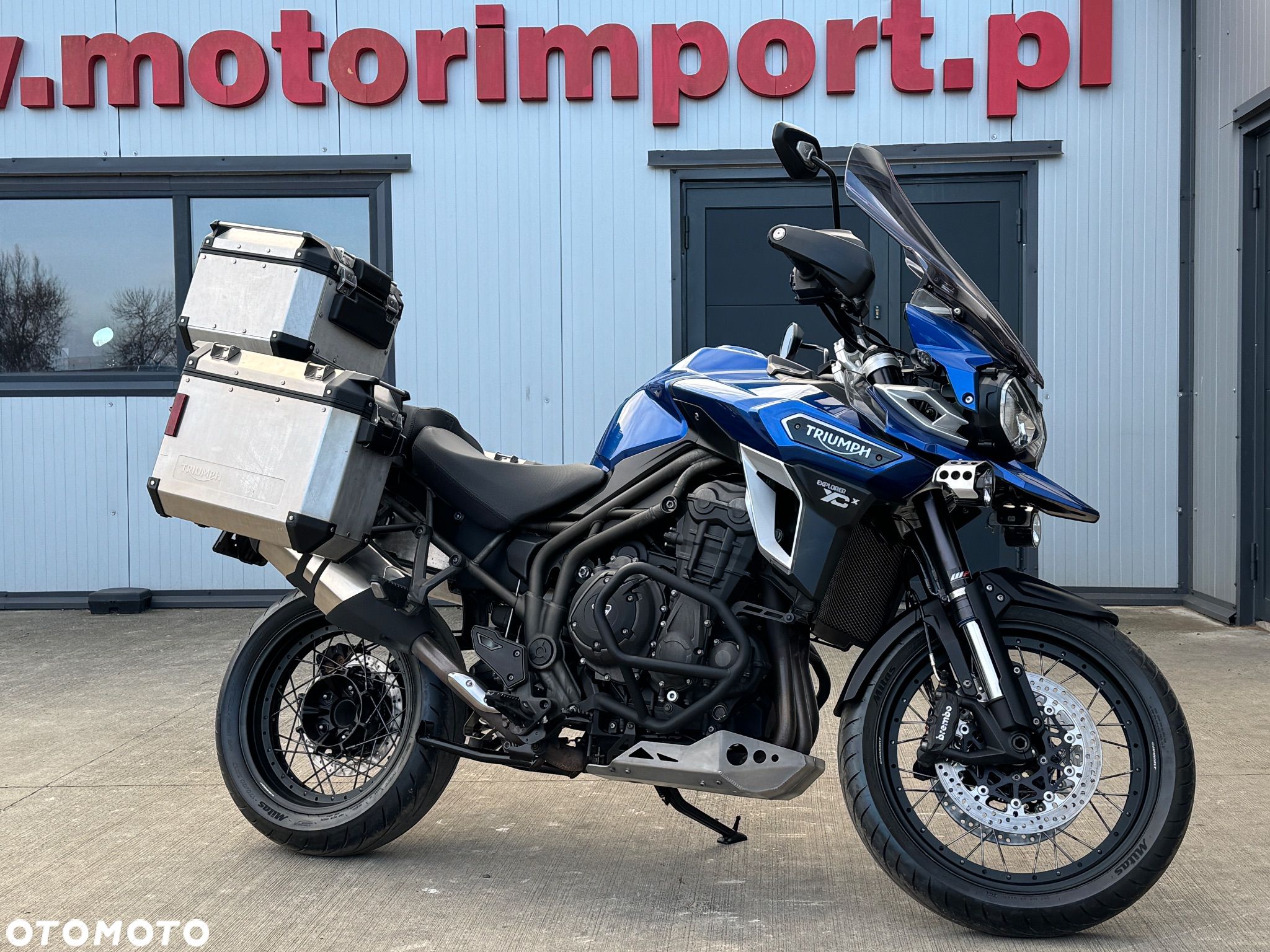 Triumph Tiger - 1
