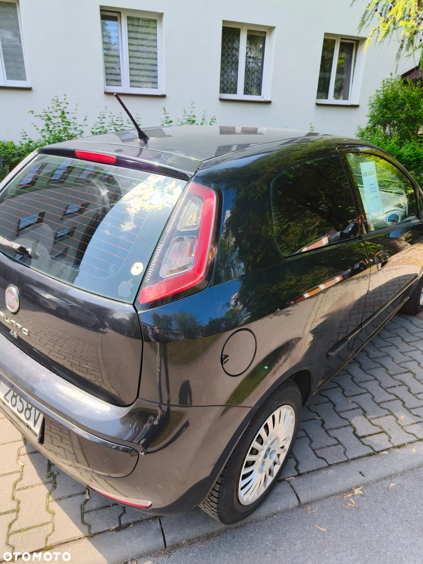 Fiat Punto 1.2 Easy Euro6 - 5