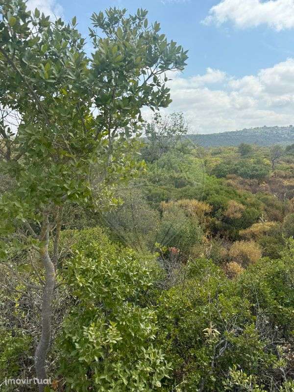 Terreno  para venda - Grande imagem: 5/14