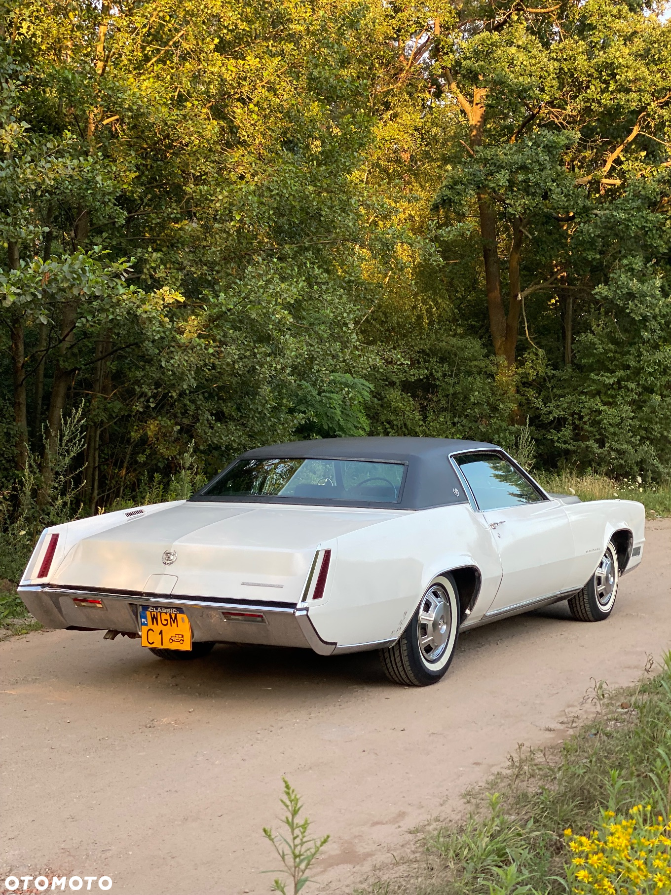 Cadillac Eldorado - 5