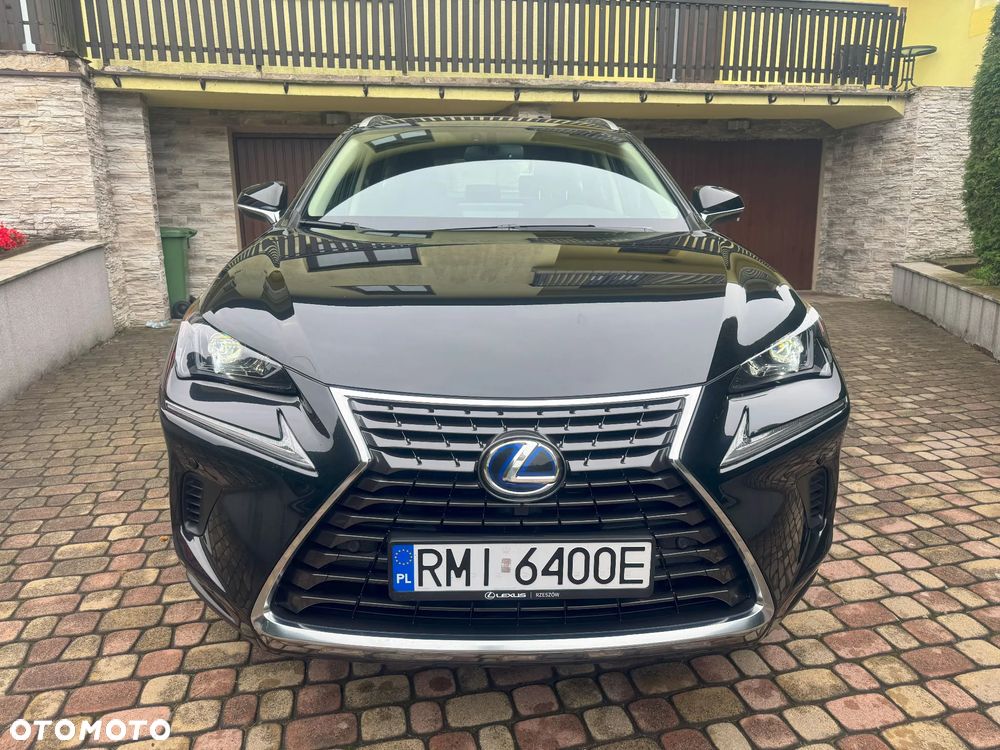 Lexus NX 350h Business AWD - 2