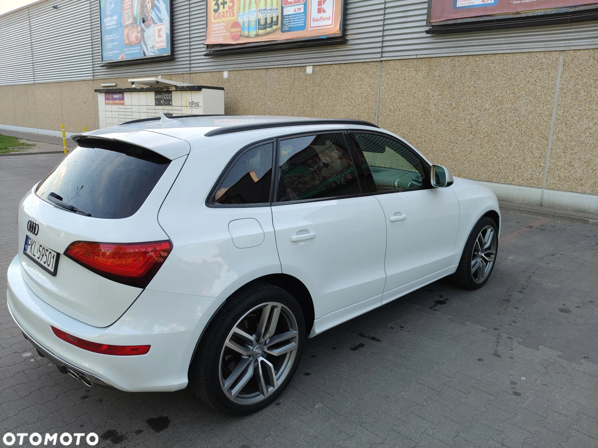 Audi SQ5 3.0 TDI Quattro Competition - 19