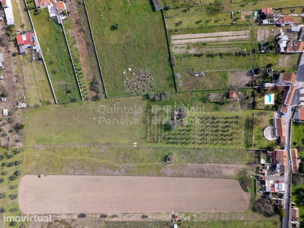 Quinta com moradia T6 e terreno de 15.760 m2 em Abrantes - Grande imagem: 3/21