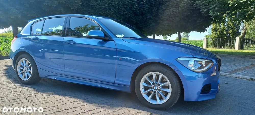 BMW Seria 1 120d BluePerformance - 28