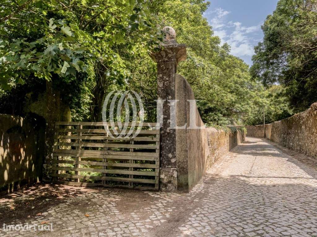 Terreno com projeto para moradia T5, S.Pedro de Sintra - Grande imagem: 3/32