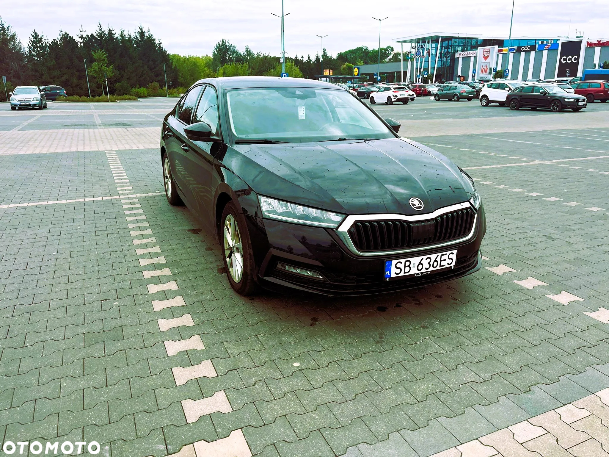Skoda Octavia - 3