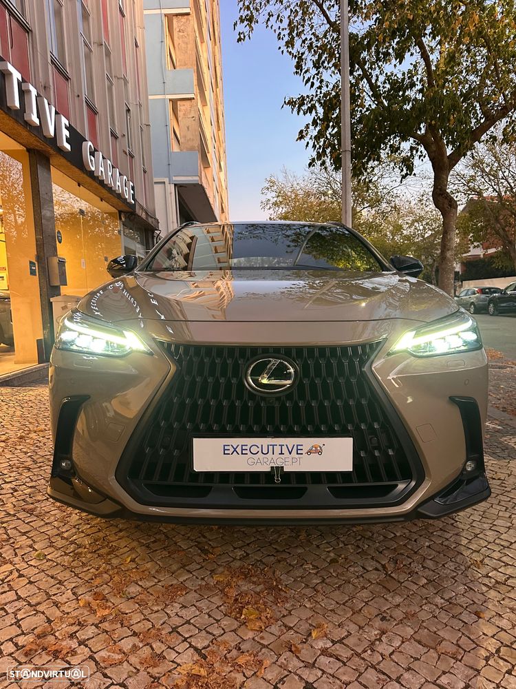 Lexus NX 450h+ - 24