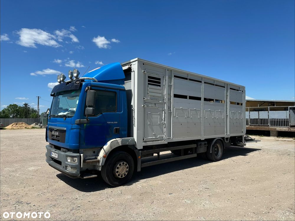 MAN TGM 18.290 - 2