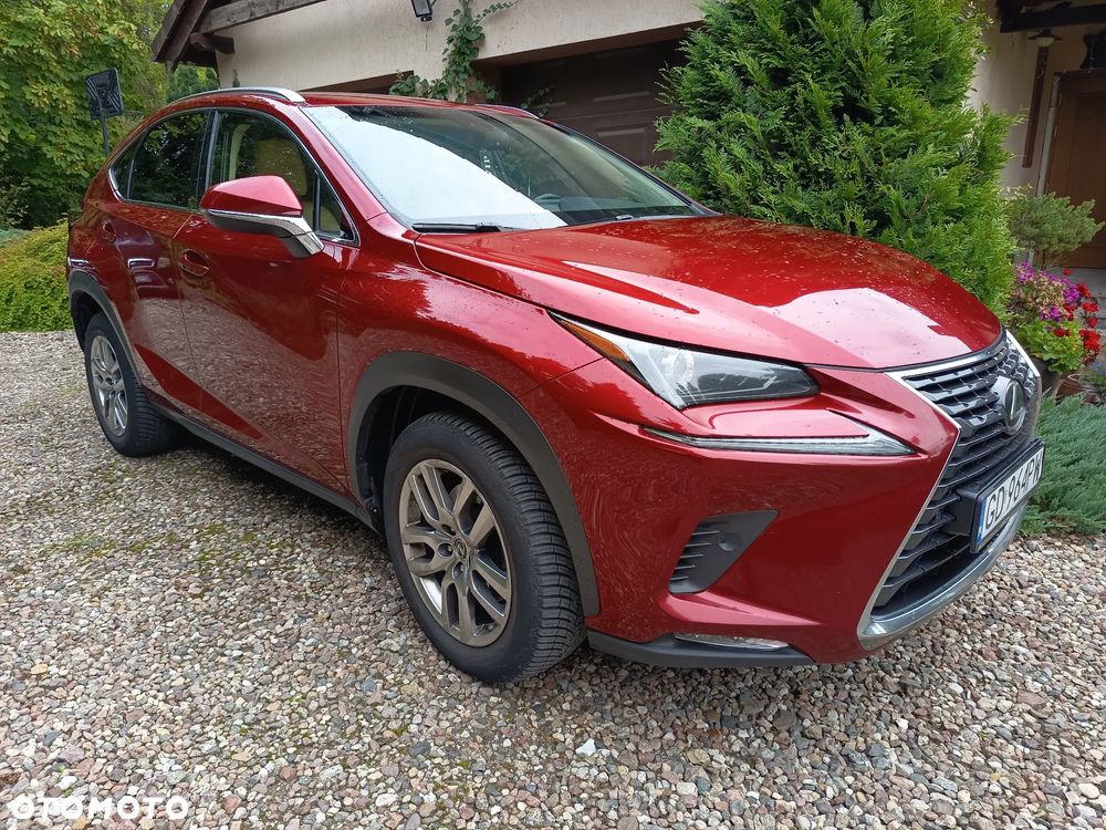 Lexus NX 300 Comfort AWD - 7