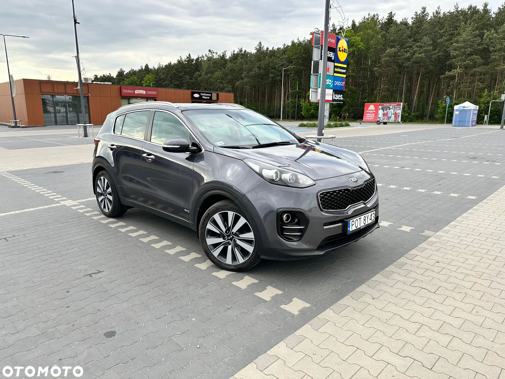 Kia Sportage - 1