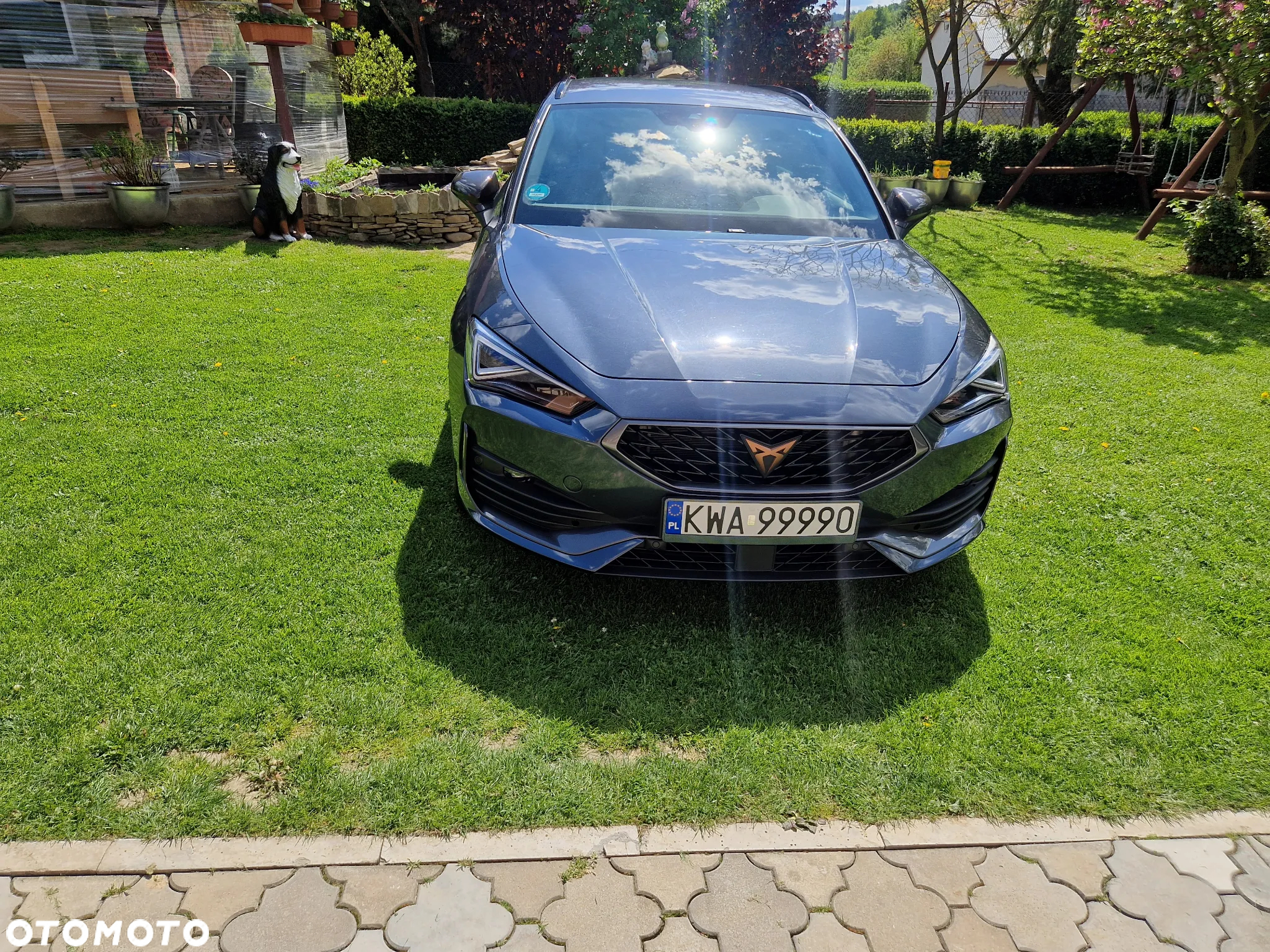 Cupra Leon 2.0 TSI DSG - 13
