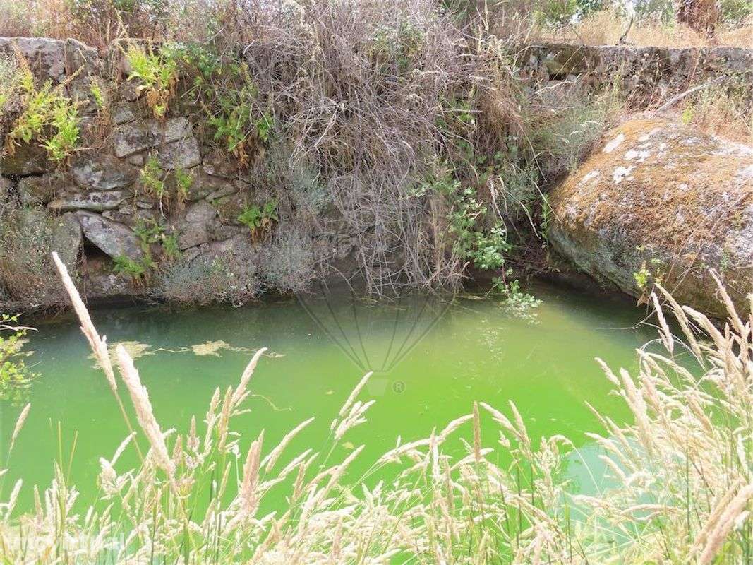 Quinta  para venda - Grande imagem: 5/40