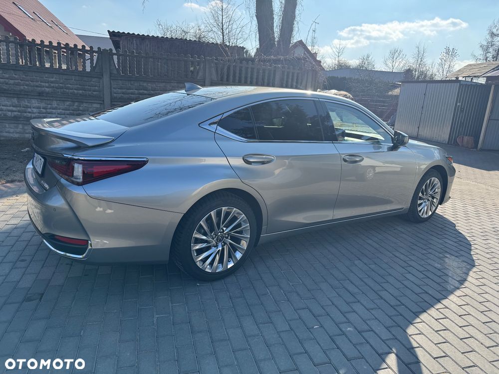 Lexus ES 300h Omotenashi - 6