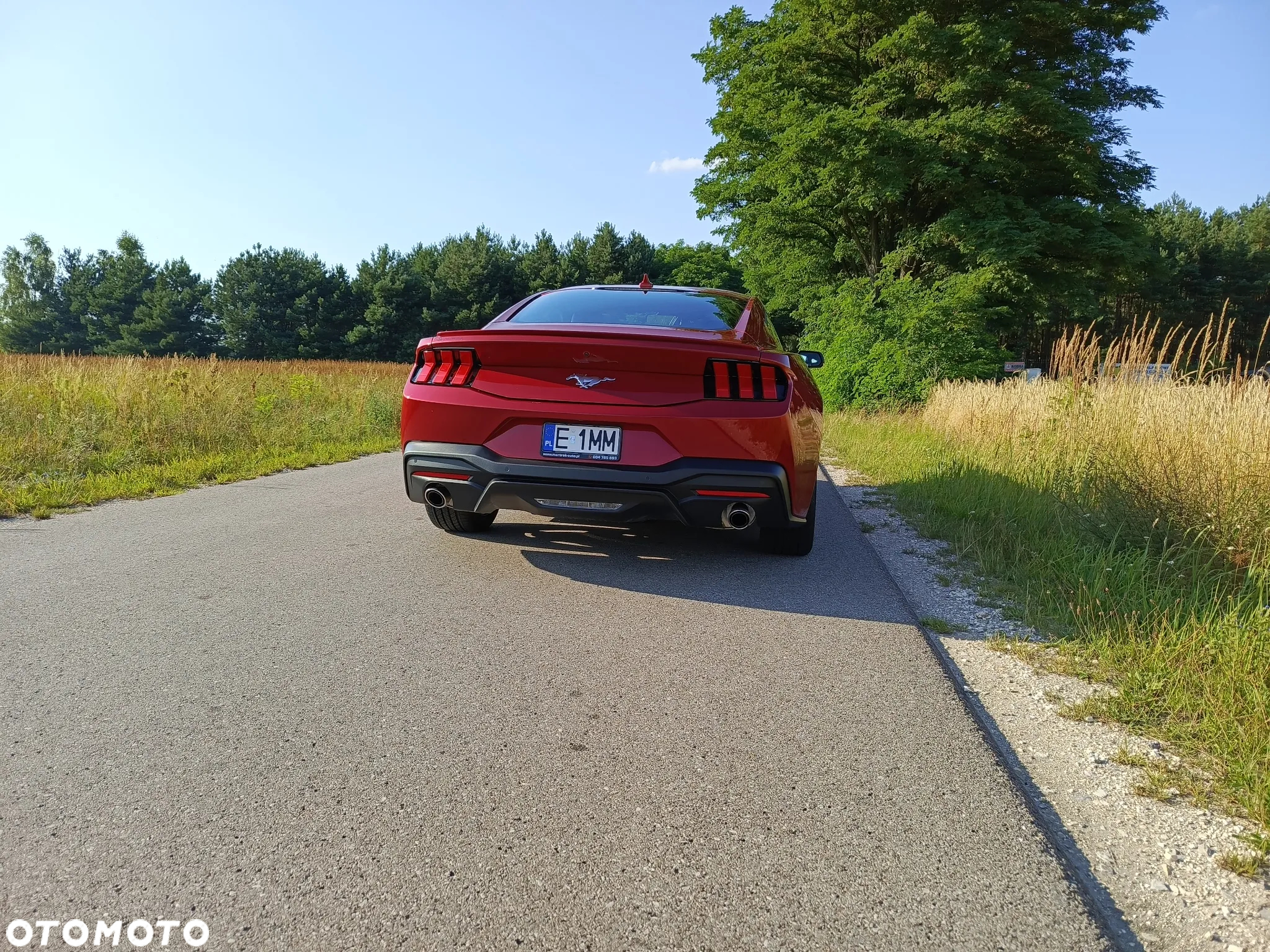 Ford Mustang 2.3 EcoBoost - 4
