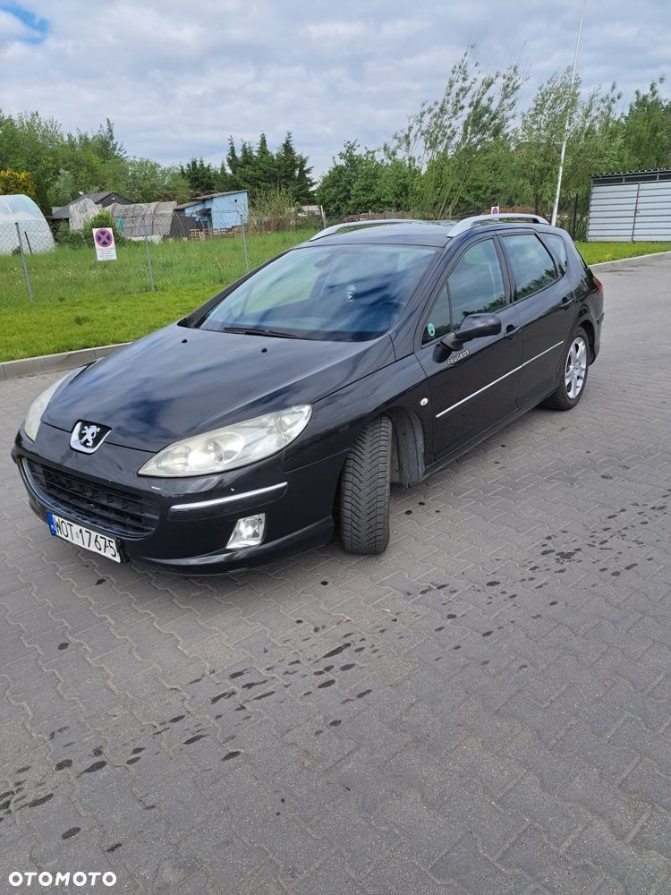 Peugeot 407 - 8