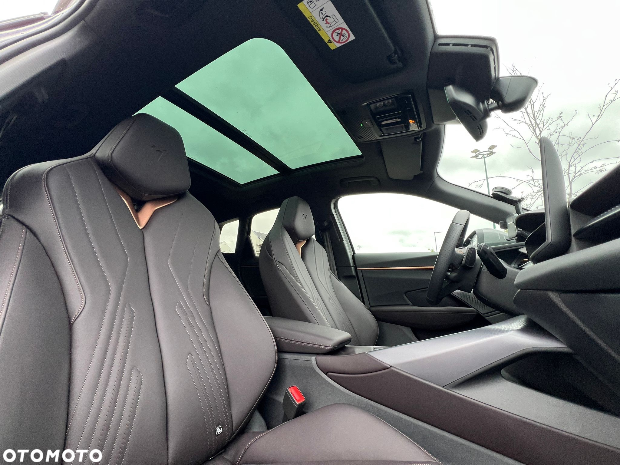 Cupra Terramar 2.0 TSI 4Drive VZ DSG - 17