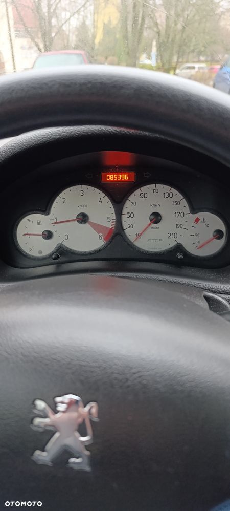 Peugeot 206 - 8
