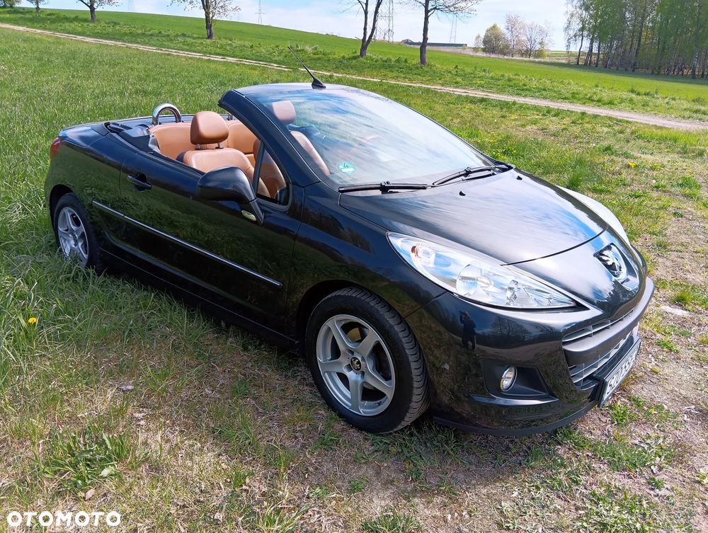Peugeot 207 - 14