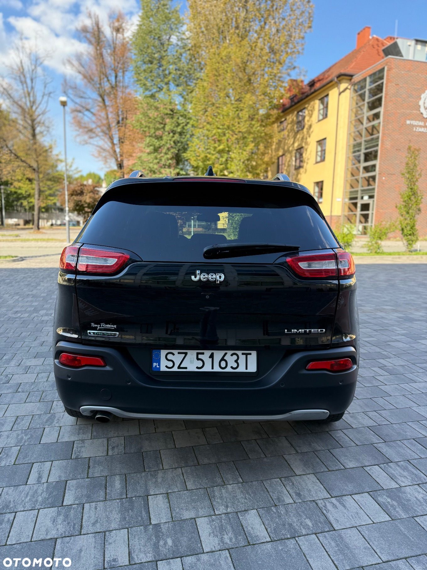 Jeep Cherokee 2.0 Multijet Limited - 6