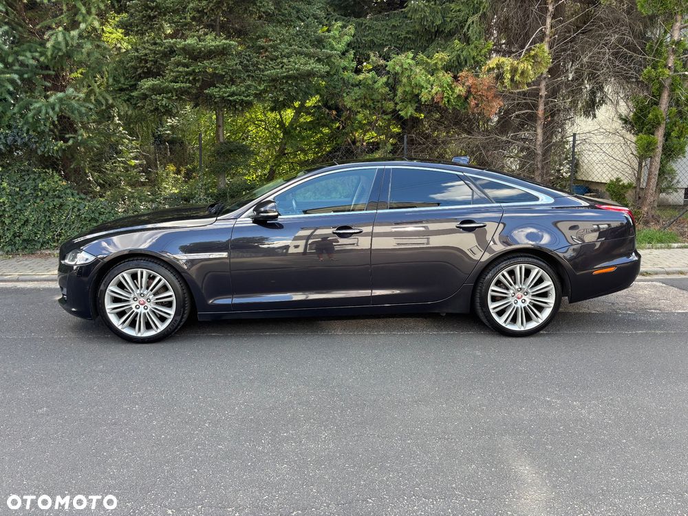 Jaguar XJ 3.0 V6 Langversion Portfolio - 4