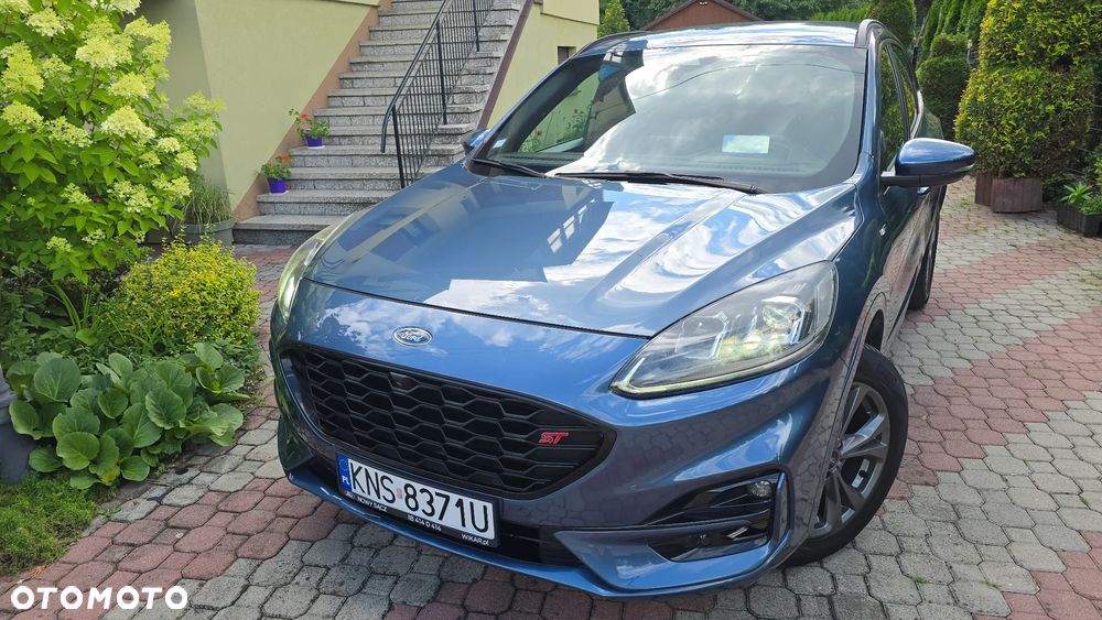 Ford Kuga 2020 photo 3