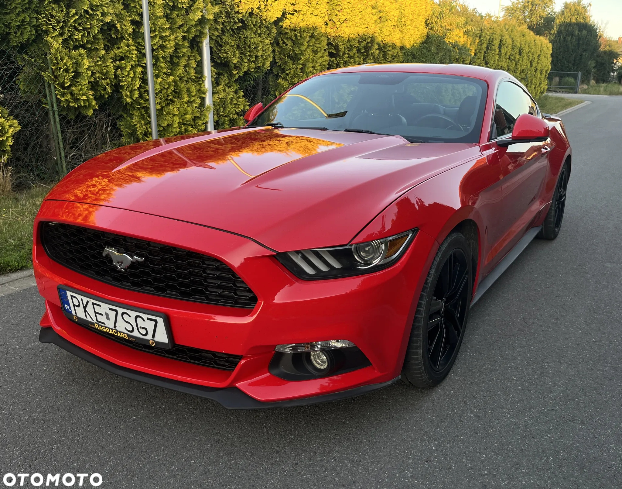 Ford Mustang 2.3 EcoBoost - 2