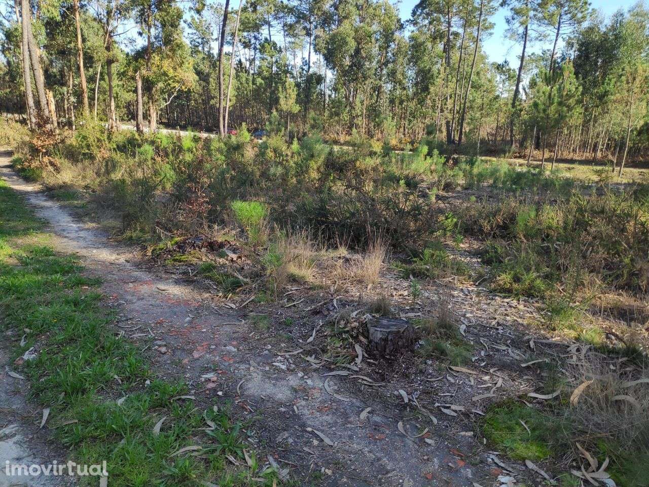 Terreno Rústico a 6 Kms do Centro - Grande imagem: 2/9