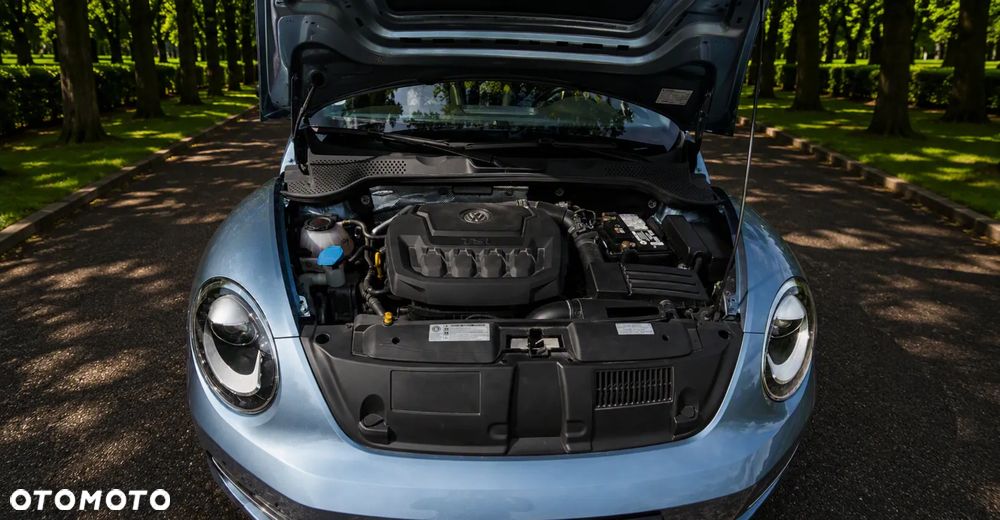Volkswagen Beetle - 10