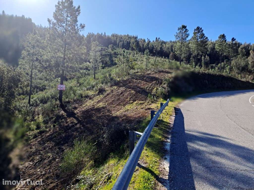 Venda conjunta de vários terrenos rústicos próximos a Cardigos - Ma... - Grande imagem: 3/21