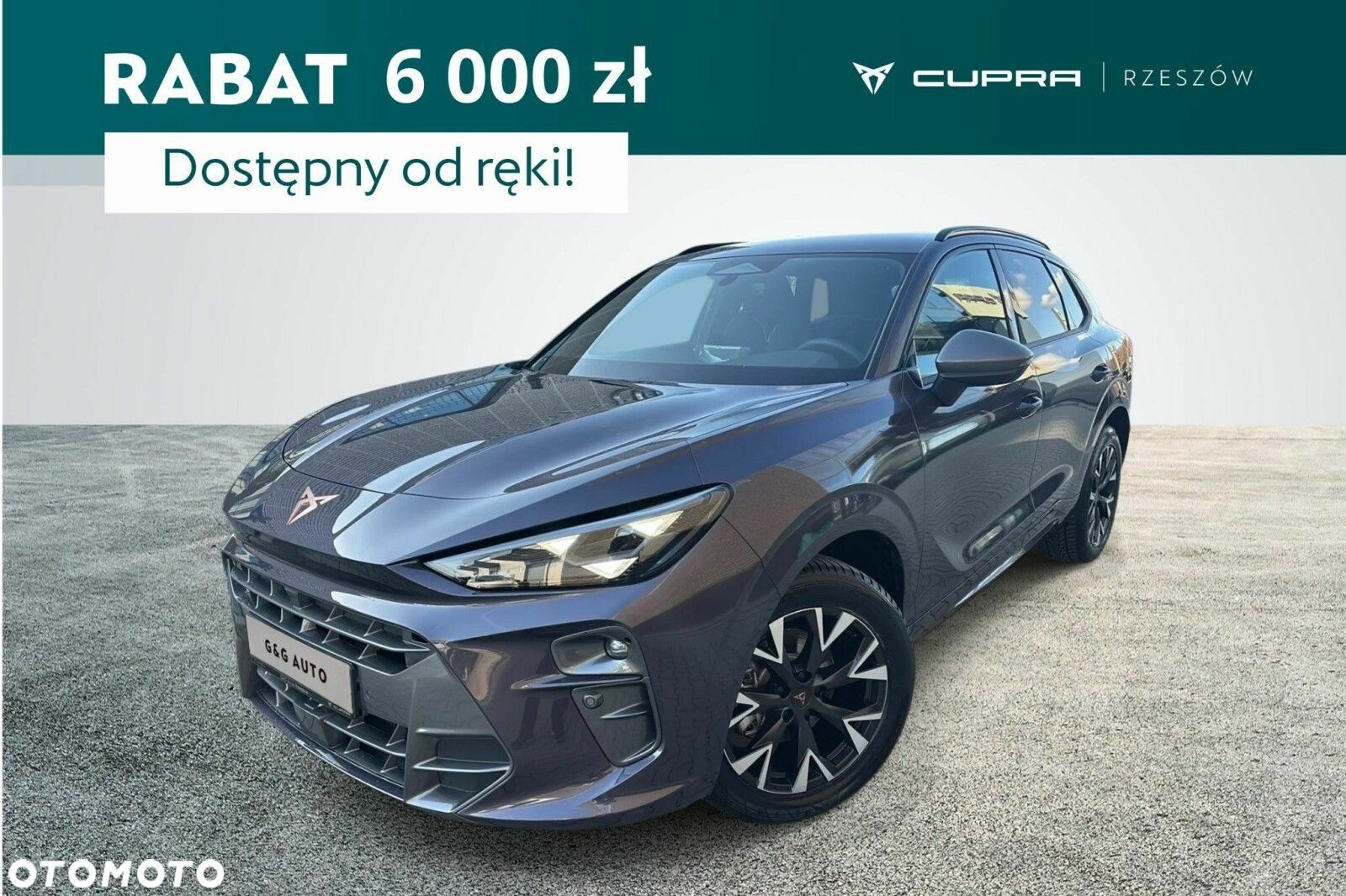 Cupra Terramar - 1
