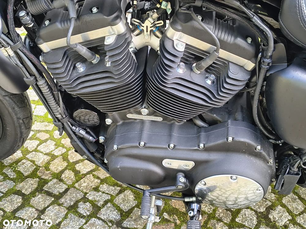 Harley-Davidson Sportster Custom 883C - 31