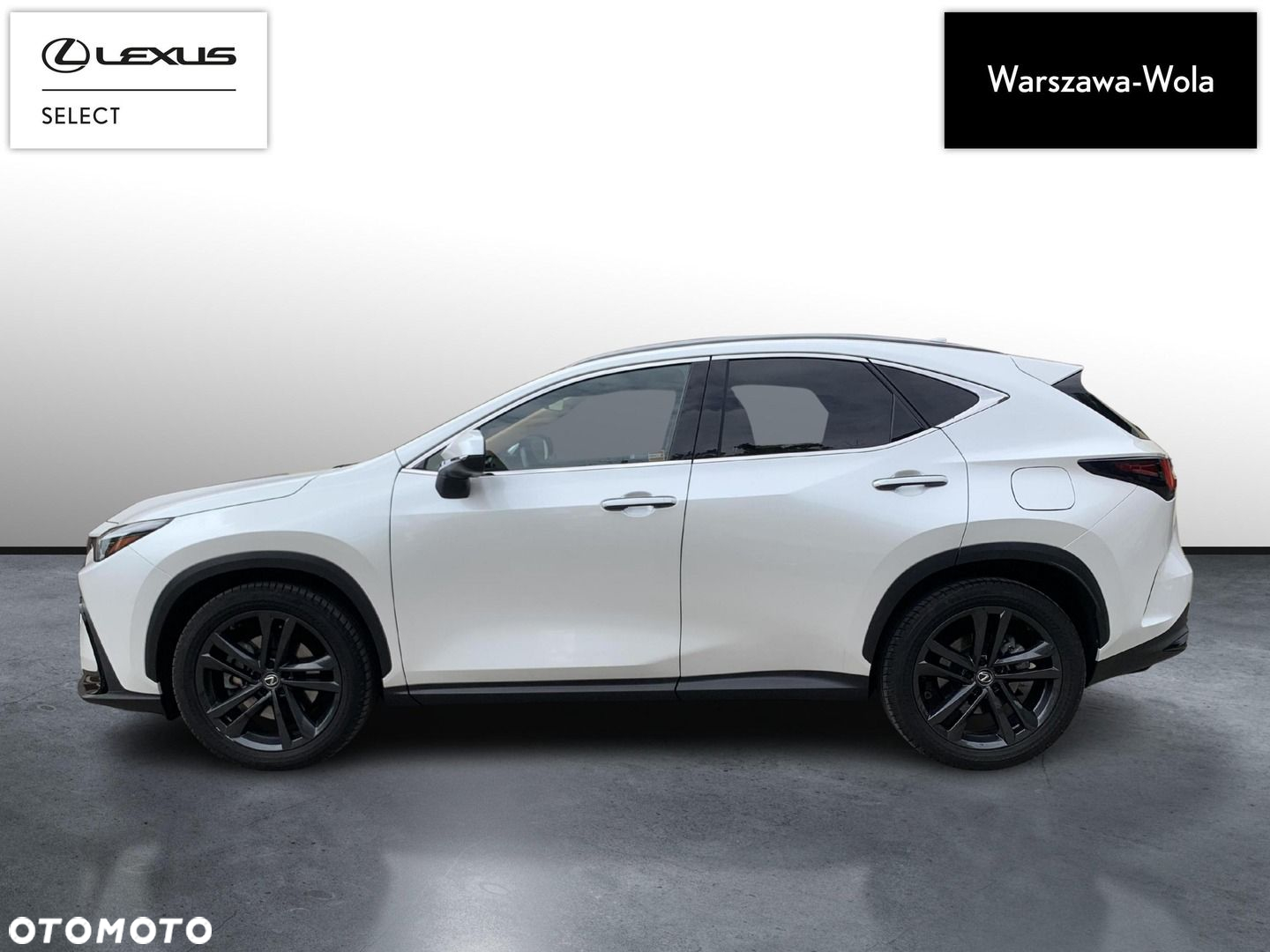 Lexus NX - 4