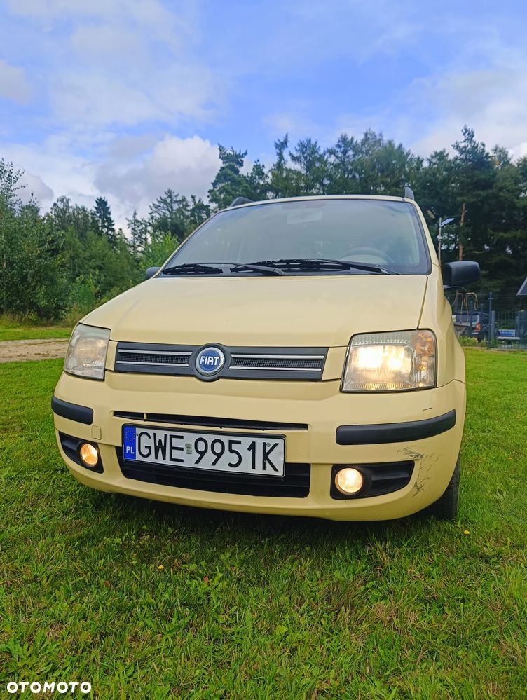 Fiat Panda 1.2 Dynamic - 14