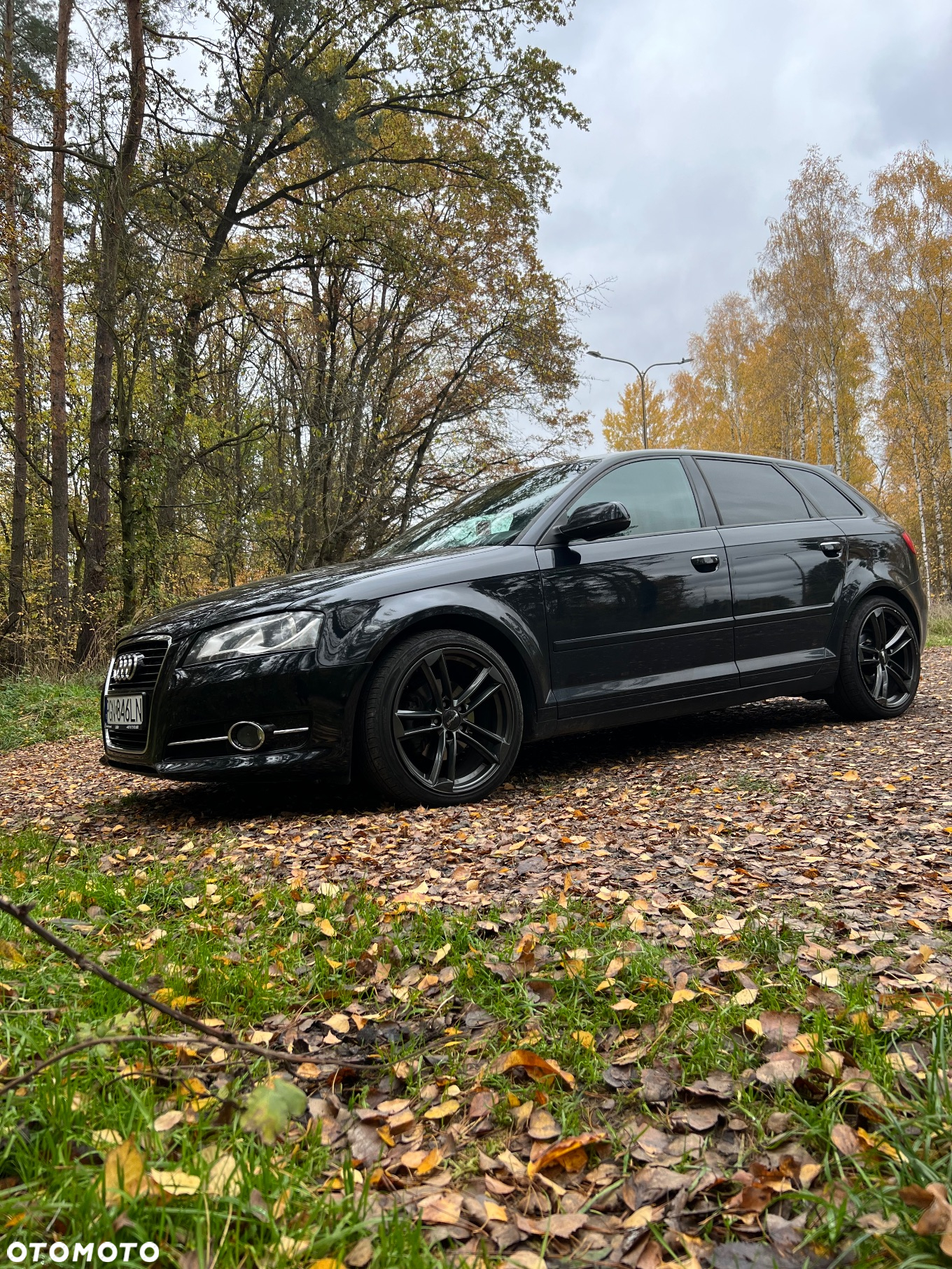 Audi A3 - 11