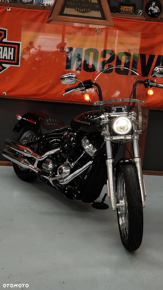 Harley-Davidson Softail Standard - 4