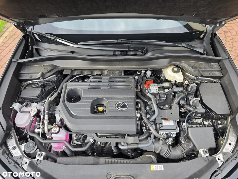 Lexus UX 300h F Sport - 18