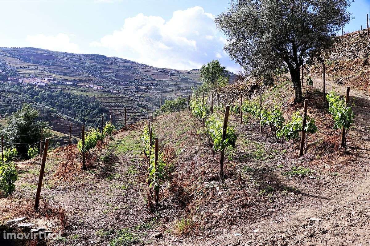 Quinta  para venda - Grande imagem: 2/36