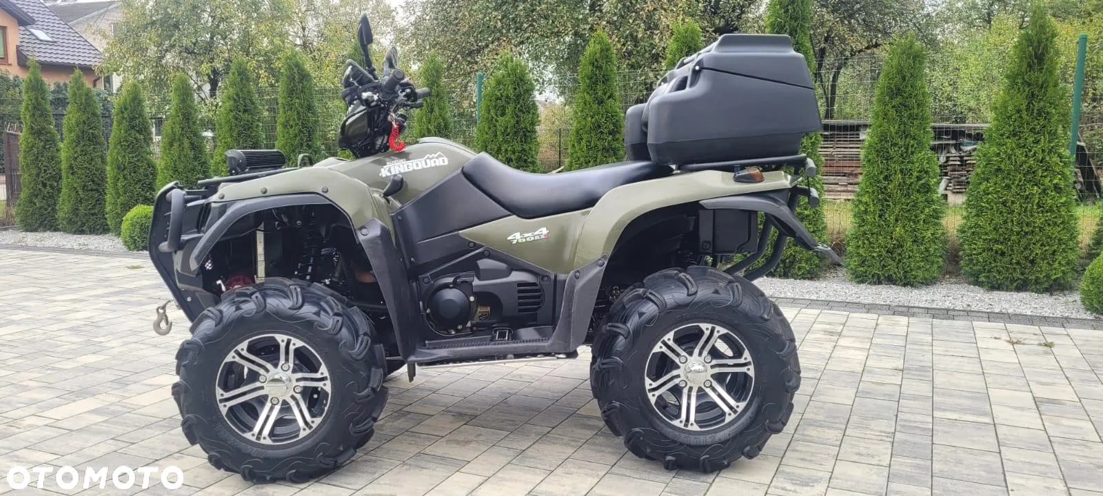 Suzuki Kingquad - 10