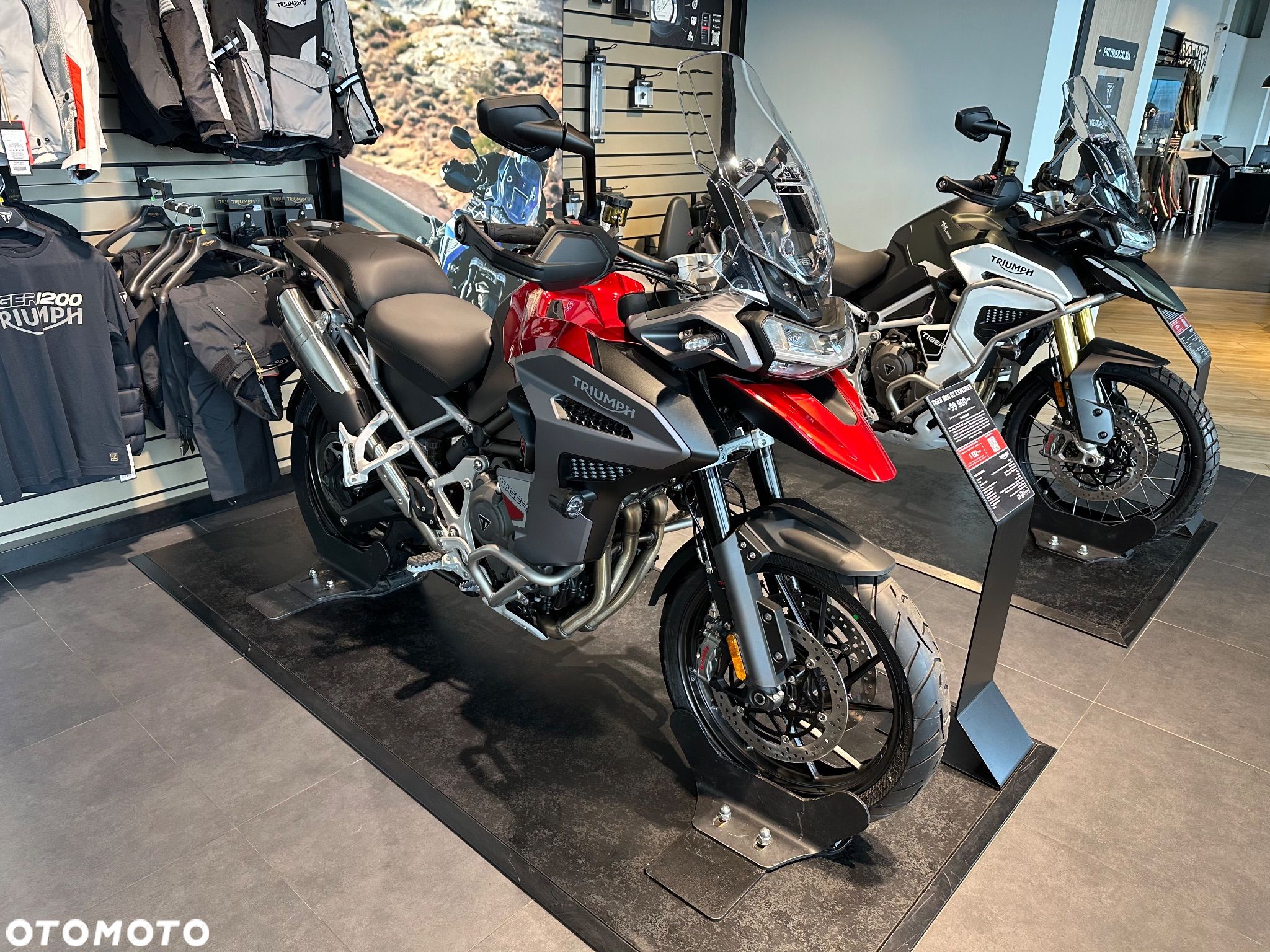 Triumph Tiger - 1