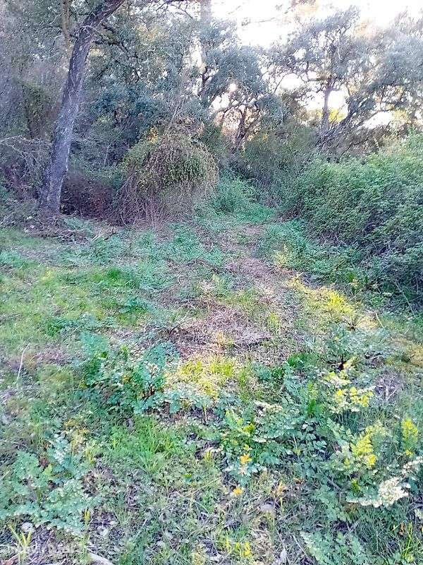 Terreno  para venda - Grande imagem: 2/7