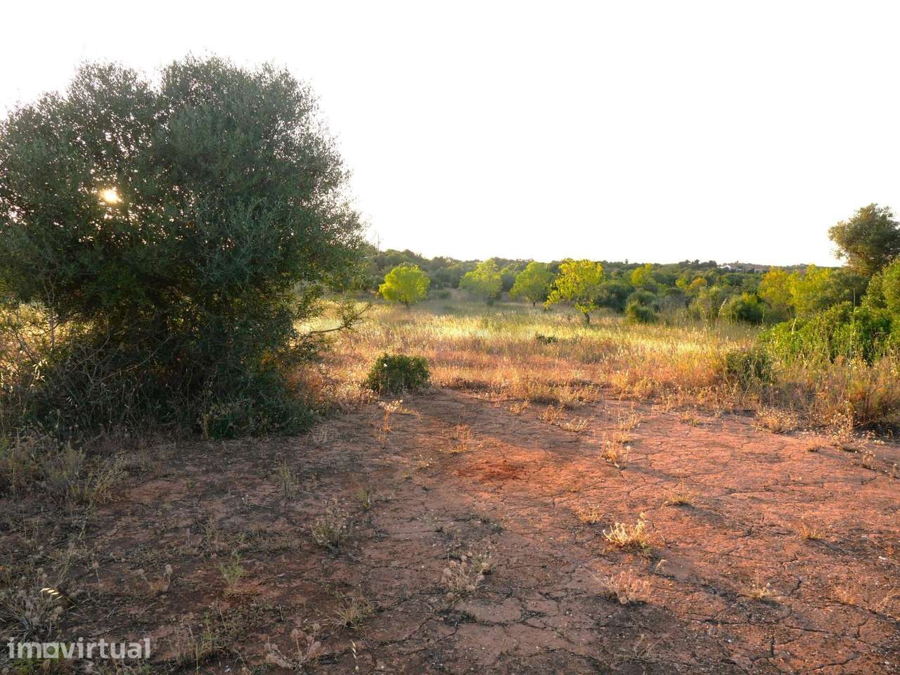 2 Terrenos rústicos confinantes em Vale da Vila, Silves, Algarve - Grande imagem: 3/19