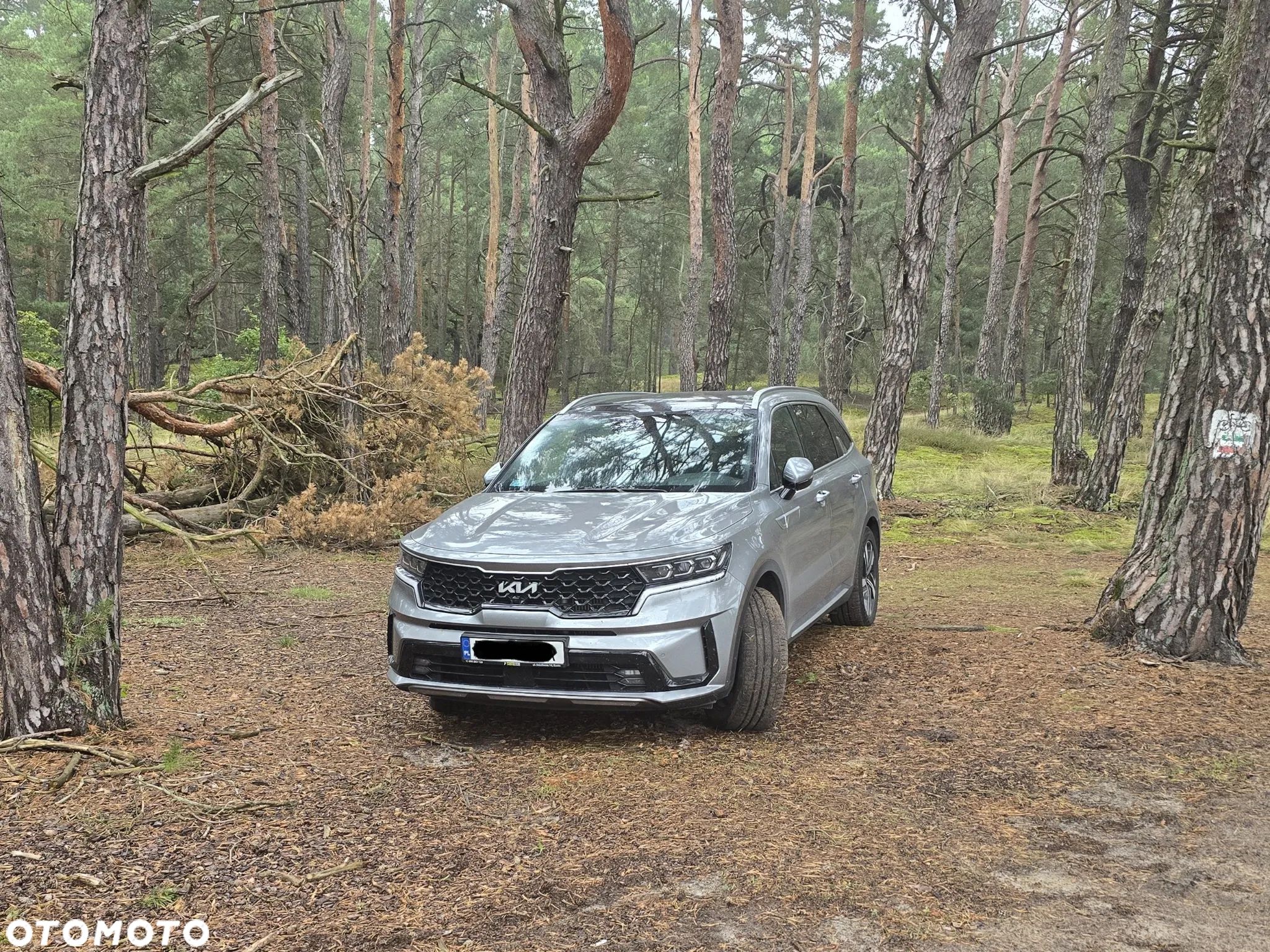 Kia Sorento 1.6 T-GDI PHEV Prestige Line 4WD 7os - 1