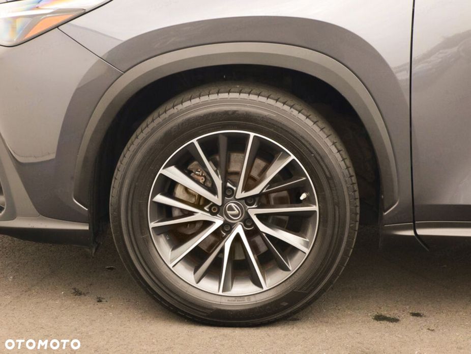 Lexus NX - 15