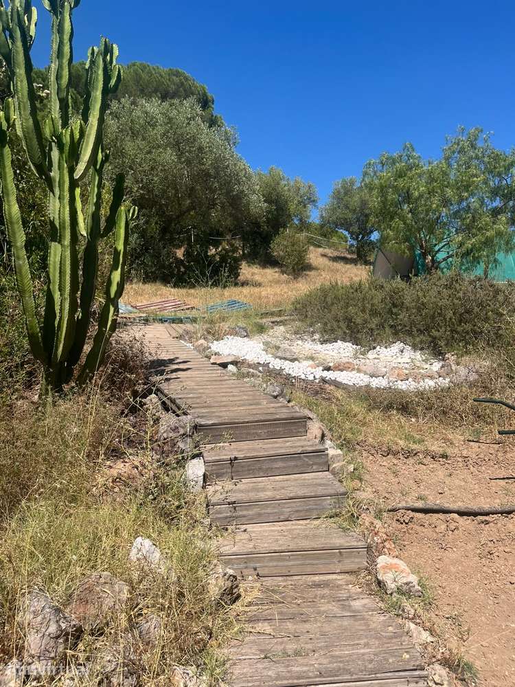 Herdade num ambiente verde - Grande imagem: 5/35
