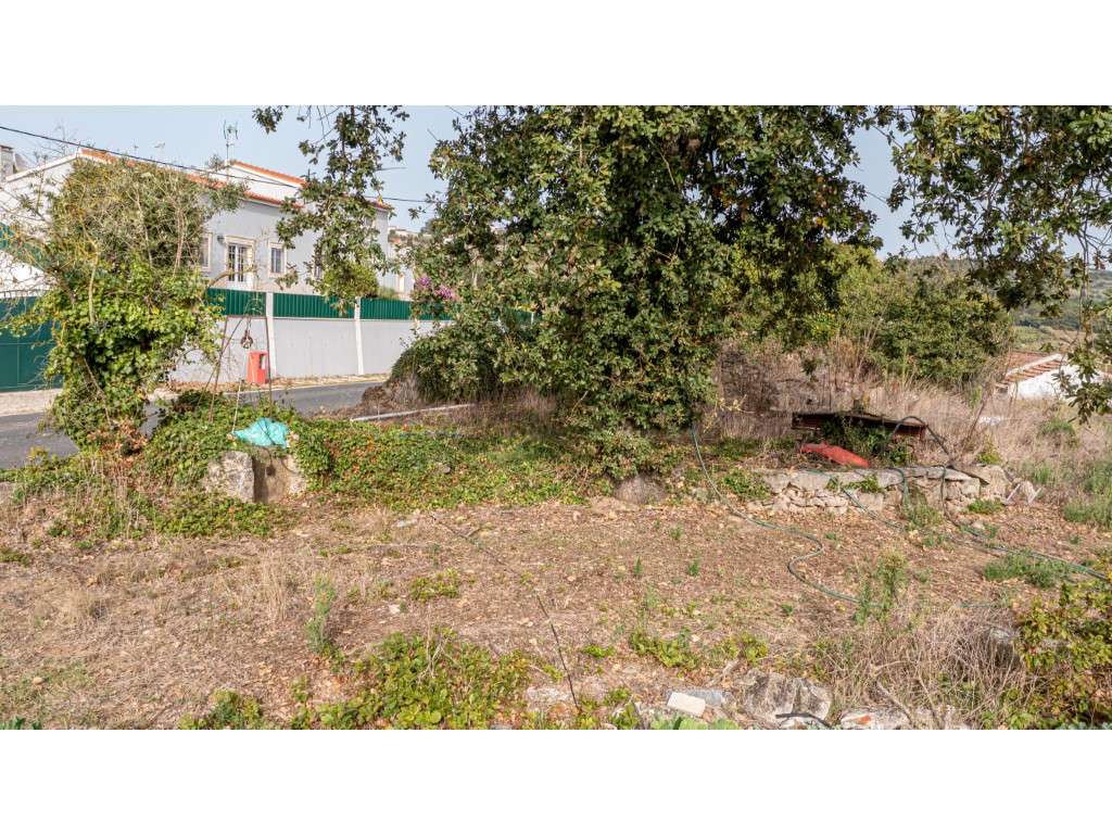Terreno com Ruina no Vimeiro ' Casal' - Grande imagem: 5/16