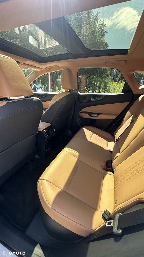 Lexus NX 350h Prestige AWD - 17