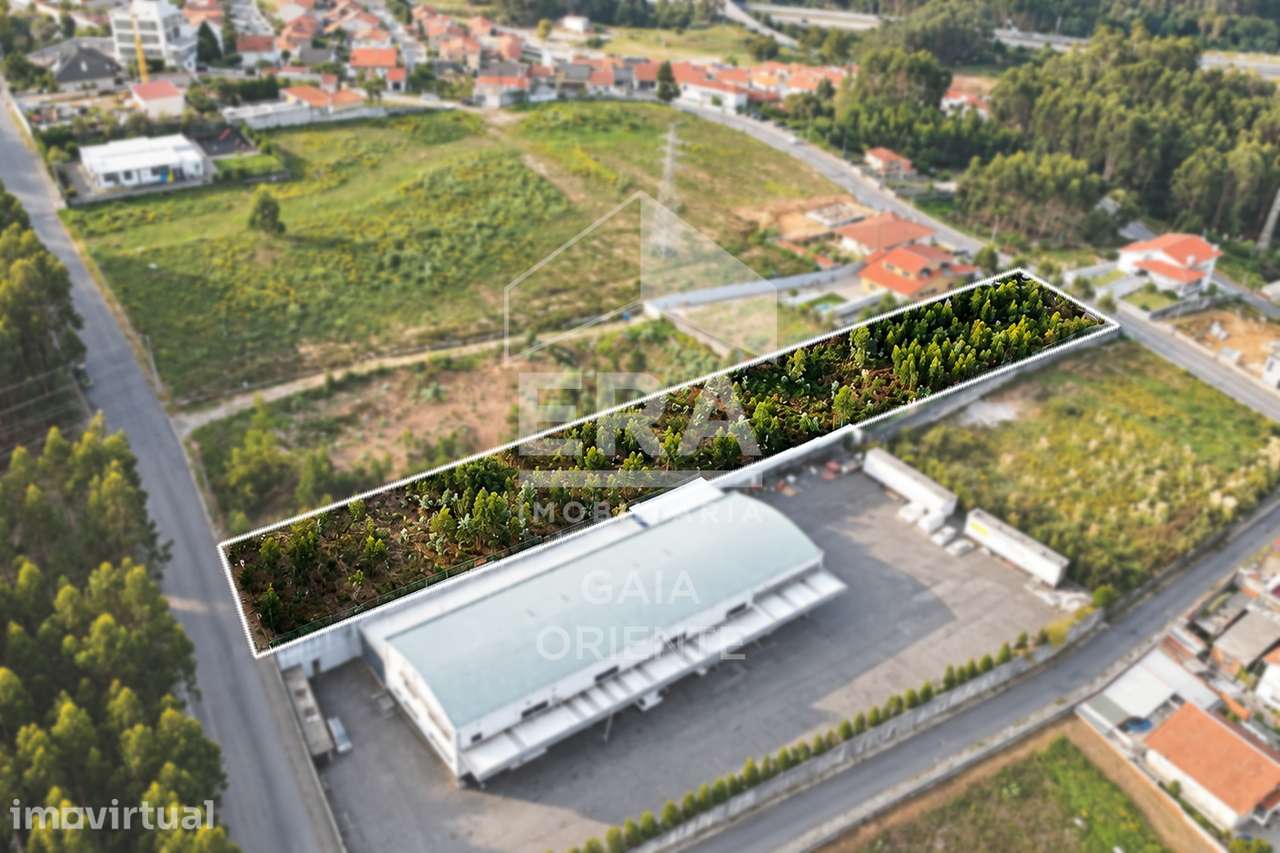 Terreno de 4.070 m² com Potencial Construtivo - Grande imagem: 2/8