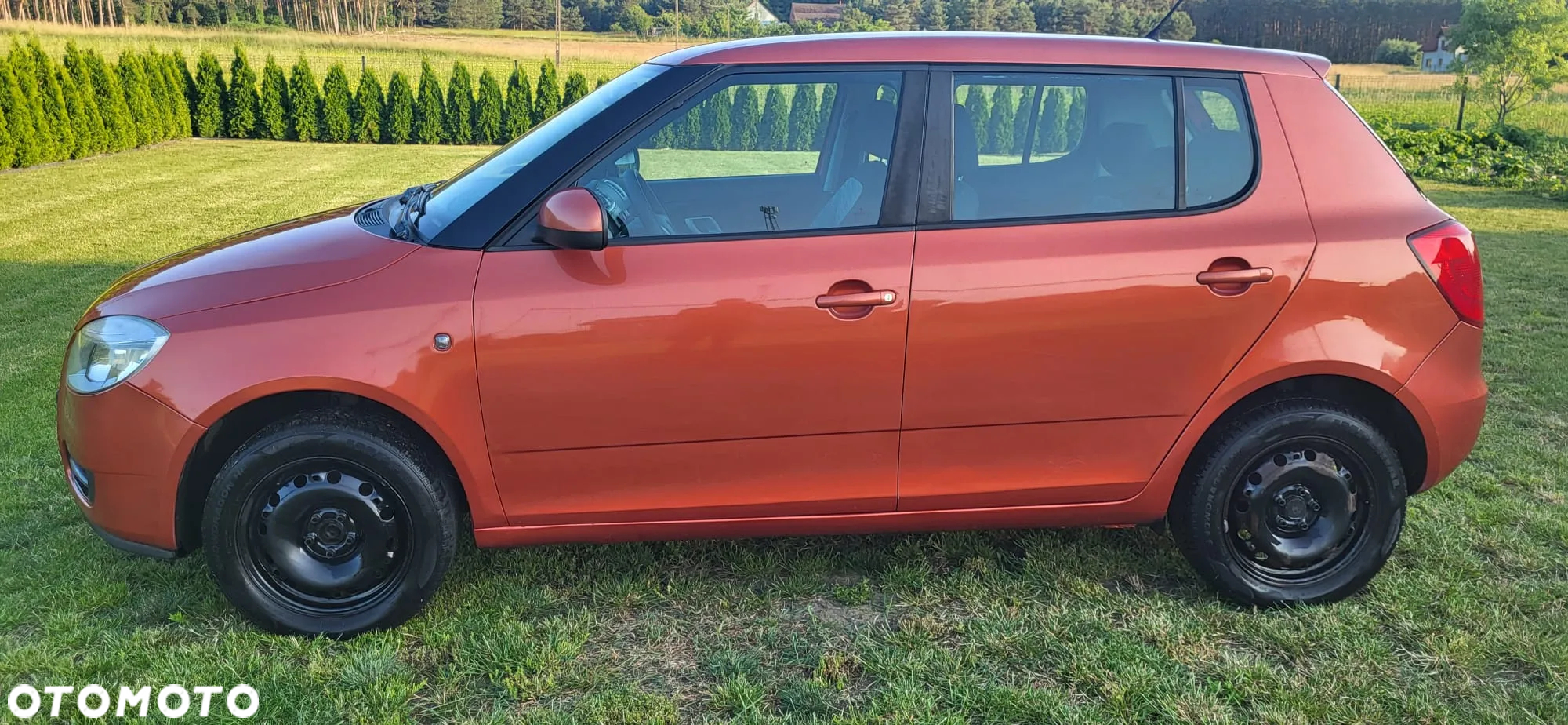 Skoda Fabia - 3